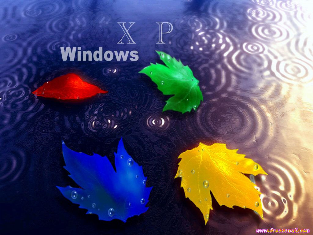 , windows, xp